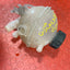 Citroen Berlingo/Peugeot Partner/Vauxhall Combo/Toyota Proace City RADIATOR COOLANT EXPANSION RESERVOIR 2019-2024 P/N 9678514680